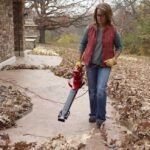 How to Use a Leaf Blower?