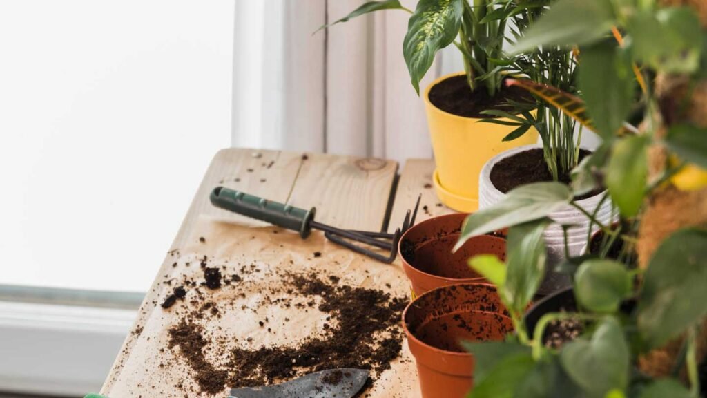 Tips-For-Unveiling-The-Wonders-Of-Compost-Soil-For-Your-Indoor-Garden-on-bridgetownherald